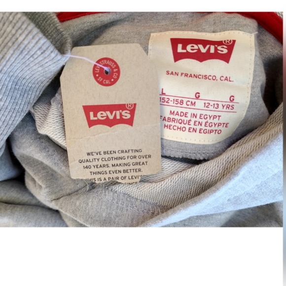 LEVI'S BIG BOYS MOTO SPLIT HOODIE BNWT - Picture 3 of 4